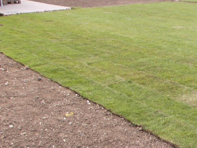 20-04-2004 12-33-47.JPG